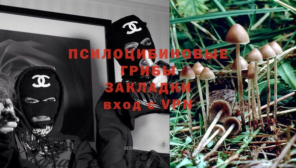 прущая мука Нефтекумск