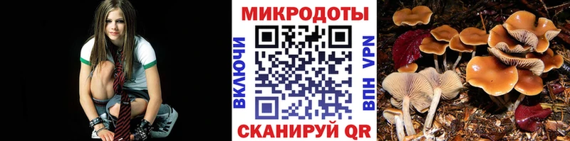 Галлюциногенные грибы прущие грибы  где купить   Котово 